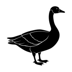 Illustration of a black goose standing with its neck curved gracefully