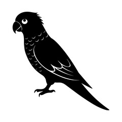 Silhouette of a black parrot standing with its head turned to the left