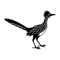 Silhouette image of a roadrunner bird standing with its tail extended