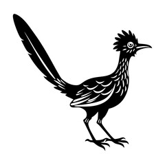 Illustration of a roadrunner bird with long tail and crested head design