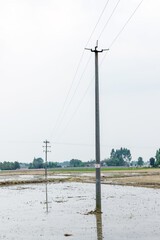 The paddy fields for rice cultivation in rural China