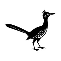 Obraz premium Illustration of a roadrunner bird standing in profile in black and white