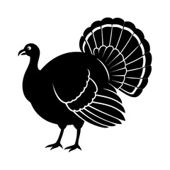 Silhouette of a turkey with a large tail standing on two legs isolated