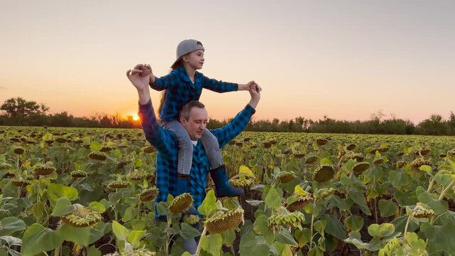 Sunflower farm family adventures, Dreamy sunset over rural fields, Magical childhood moments outdoors, Nature creates the best memories, Comfort in a father s embrace, Innocence and warmth under the