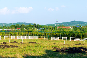 In Huangxu Town, Deyang City, Sichuan Province, China, there is an open and spacious livestock farm
