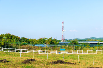 In Huangxu Town, Deyang City, Sichuan Province, China, there is an open and spacious livestock farm