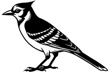 bird on a white background