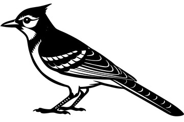 hand drawn vector illustration of a bird
