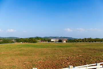In Huangxu Town, Deyang City, Sichuan Province, China, there is an open and spacious livestock farm