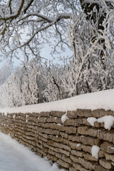 Old stone fence and beautiful frozen tree branches covered with snow. Extremely cold winter in Estonia.