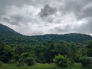 Obraz premium clouds over the forest