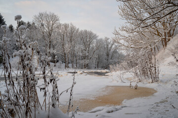 Beautiful frozen Jagala (Estonian - Jägala) river on a cloudy winter morning. Dry plants are covered with snow in the foreground. Estonia.