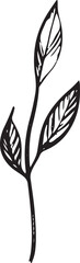  line art black doodled plant with leaves