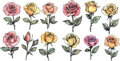 set of adorable colourful drawn cartoon roses flowers