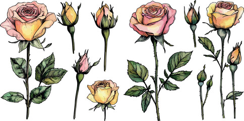 set of adorable colourful drawn cartoon roses flowers