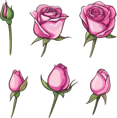set of adorable colourful drawn cartoon roses flowers