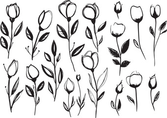 set of black line art drawing vectors of rose flowers