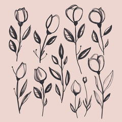 set of black line art drawing vectors of rose flowers