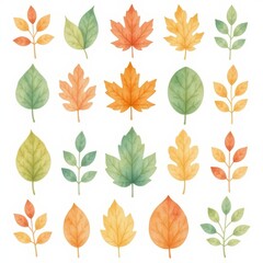 Fototapeta premium a collection of leaves, arranged in a 3x3 grid on a white background, watercolor style