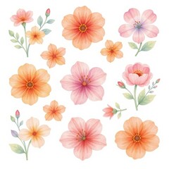 a collection of flowers, arranged in a 3x3 grid on a white background, watercolor style