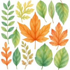 Fototapeta premium a collection of leaves, arranged in a 3x3 grid on a white background, watercolor style