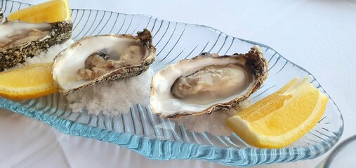 Fresh oysters with lemon close-up. Oysters in a restaurant. Fresh oyster.