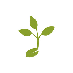 Obraz premium Young Sprout icon sign isolated on white background
