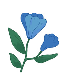 A hand-drawn pastel blue flower with green leaves, perfect for cute nature-themed design projects. Transparent background PNG.