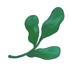Charming hand-drawn green leaf with sparkles in a playful cartoon style. Ideal for eco, garden, or nature-inspired designs. Transparent PNG.