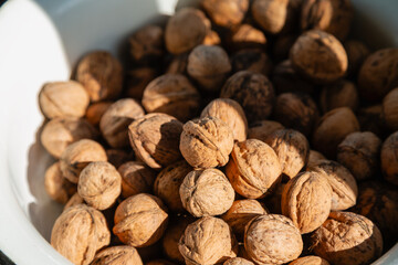 Walnuts in warm sunlight lying on a white plate close-up, walnuts in light and shadow, walnut harvest.