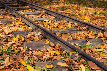 Selective focus on railroad tracks in an autumn landscape.