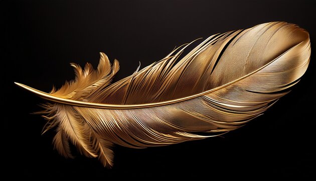 golden feather on black background n artistic and decorative photography