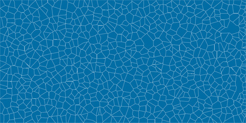 Subtle Geometry in Cracked Earth Pattern

