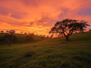 A vibrant sunset paints the sky over rolling green hills and majestic oak trees in a serene landscape
