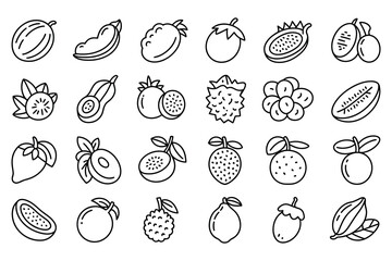 Hand Drawn Tropical Fruits Icon Set in Minimalist Line Art Style