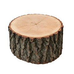 A tree stump, with its growth rings visible. The rough bark is also clearly shown