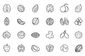 Handcrafted Line Icons of Juicy and Exotic Fruits Collection