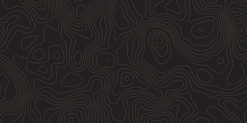"Abstract dark background with fine topographic contour lines. Modern, minimal texture ideal for tech designs, presentations, wallpapers, and user interface elements. High contrast and stylish layout"