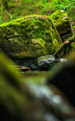 Small stream, waterfall and undergrowth of the Tarn in the Commune of Lamontélarié in the south of France
