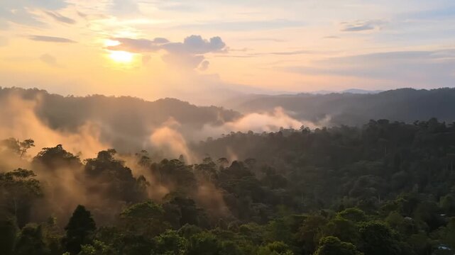 Misty Morning Over Indonesian Highlands