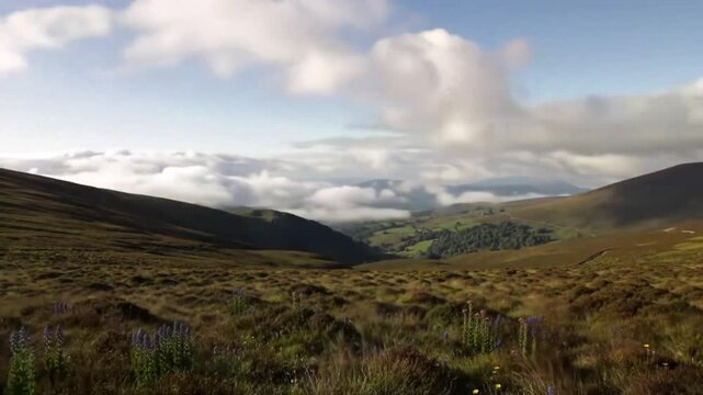 Mountain vista with low clouds