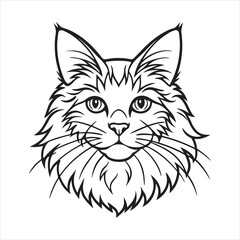 Fluffy Majesty: Portrait of a Maine Coon Beauty