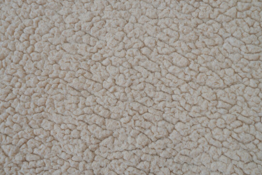Natural white sherpa fleece texture. Soft sheep wool plain background. 