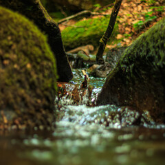 Small stream, waterfall and undergrowth of the Tarn in the Commune of Lamontélarié in the south of France
