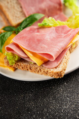 Sandwich ham, cheese, bread toast meat spam fresh delicious gourmet food background on the table rustic food top view copy space