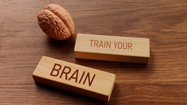 Train Your Brain Concept with Brain Model and Wooden Blocks