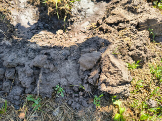 dry earth. Cracked black earth. Dry summer. Insufficient soil moisture. Lack of moisture in the...