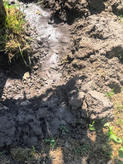 dry earth. Cracked black earth. Dry summer. Insufficient soil moisture. Lack of moisture in the soil. Dry cracked land ground, rotating, turning, top view