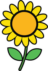 sunflower vector illustration