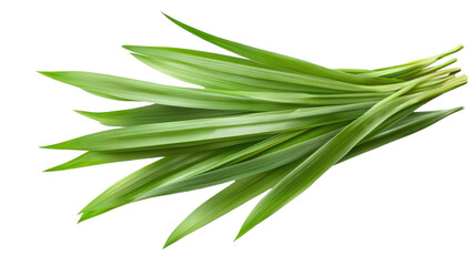 Fototapeta premium Fresh green beans with smooth texture and natural color isolated on white background